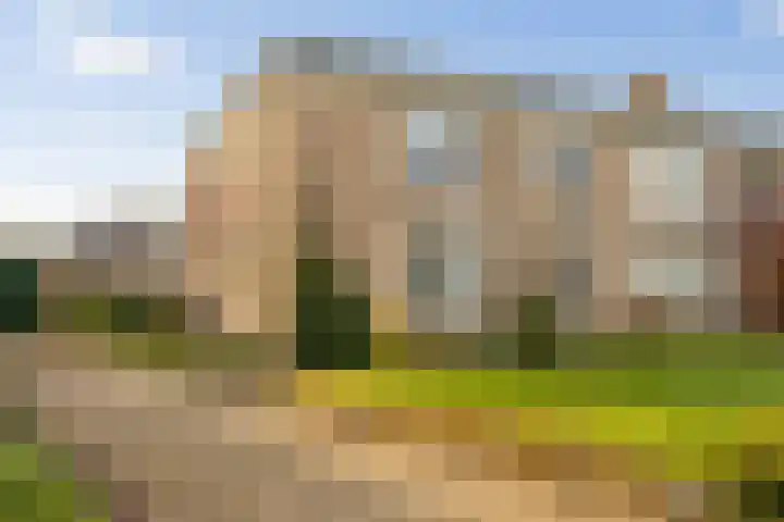 Louisa Hedwig van Catzstraat 59 Hoogwoud thumbnail 38
