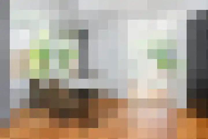 Louisalaan 3 Apeldoorn thumbnail 12
