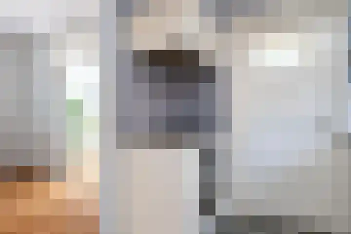 Louisalaan 3 Apeldoorn thumbnail 16