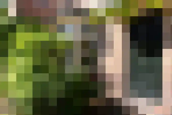 Louisalaan 3 Apeldoorn thumbnail 29