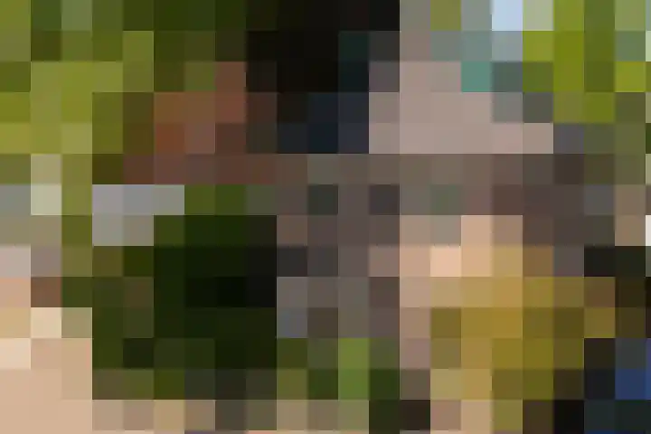 Louisalaan 3 Apeldoorn thumbnail 33