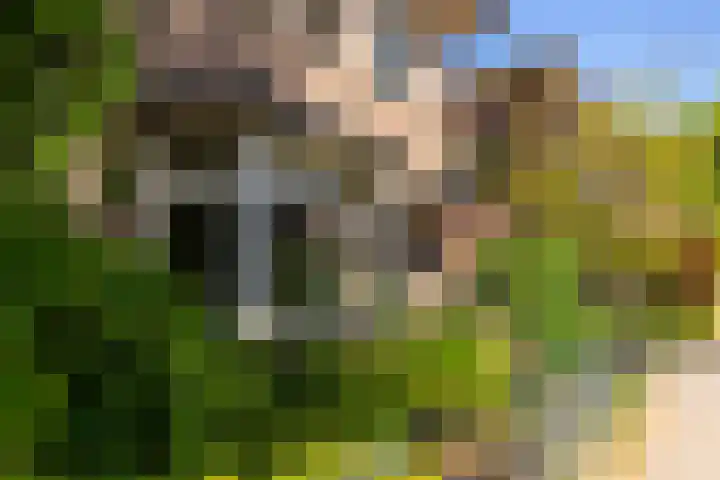 Louisalaan 3 Apeldoorn thumbnail 35