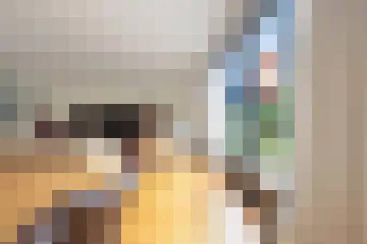 Louisapolder 13 Amersfoort thumbnail 12