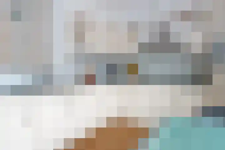 Louisapolder 13 Amersfoort thumbnail 14