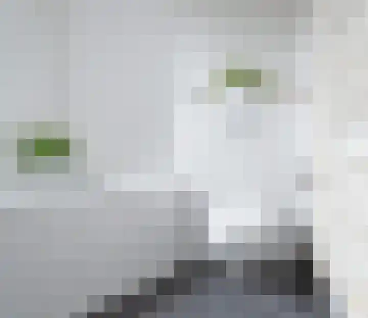 Louisapolder 13 Amersfoort thumbnail 23