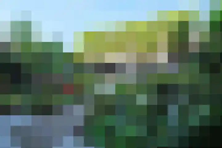 Louisapolder 13 Amersfoort thumbnail 30