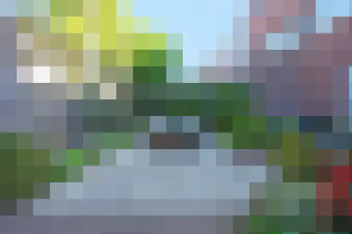 Louisapolder 13 Amersfoort thumbnail 31