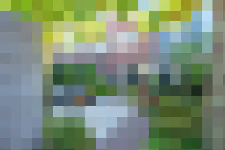 Louisapolder 13 Amersfoort thumbnail 32