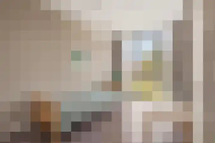 Louisapolder 44 Barendrecht thumbnail 19