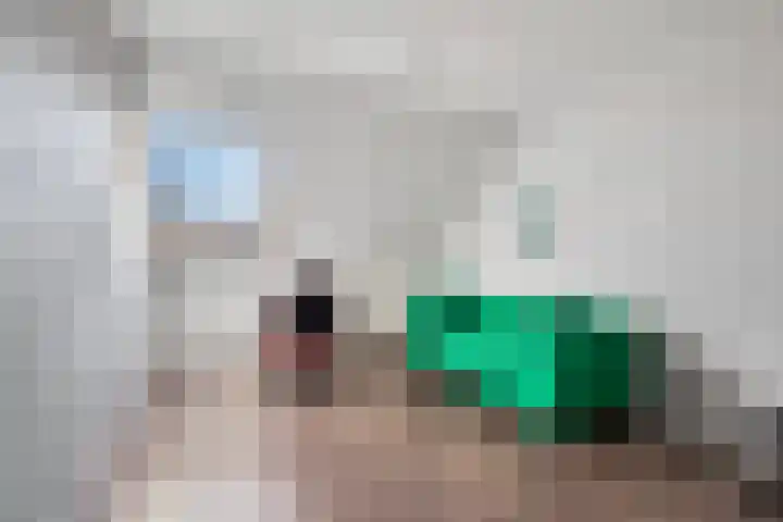 Louisapolder 44 Barendrecht thumbnail 22