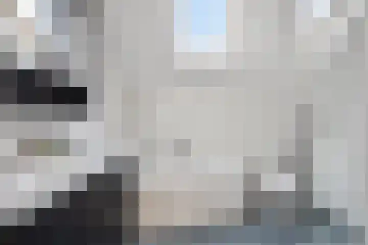Louisapolder 44 Barendrecht thumbnail 23