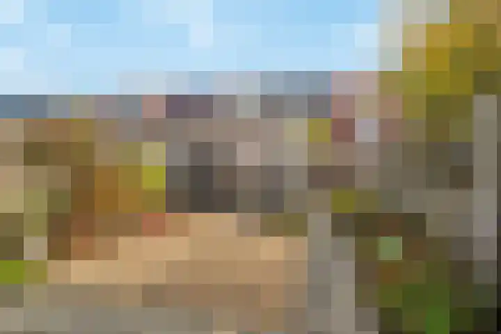 Louisapolder 44 Barendrecht thumbnail 30