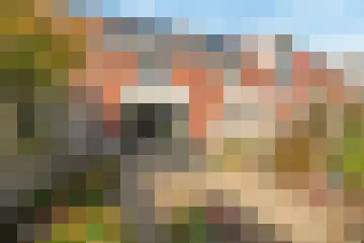 Louisapolder 44 Barendrecht thumbnail 32