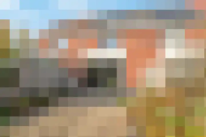 Louisapolder 44 Barendrecht thumbnail 33