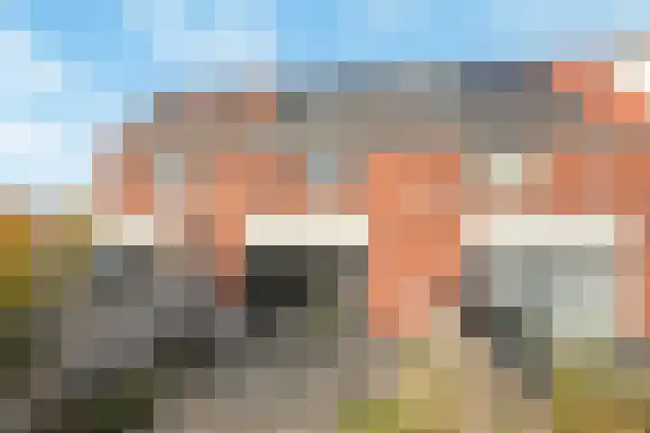 Louisapolder 44 Barendrecht thumbnail 34