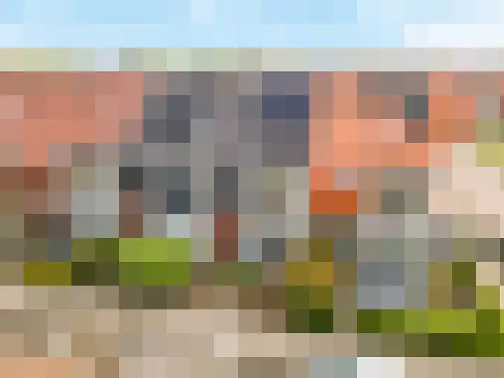 Louisapolder 44 Barendrecht thumbnail 39