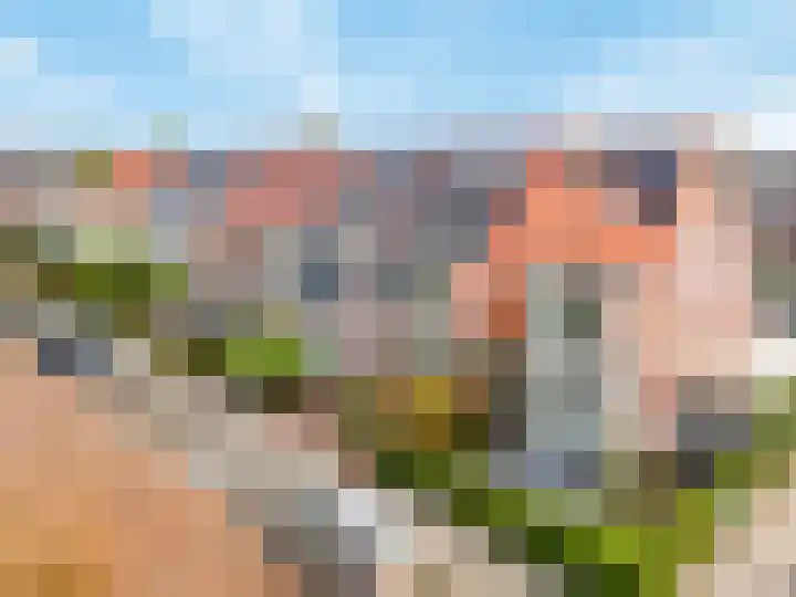 Louisapolder 44 Barendrecht thumbnail 40