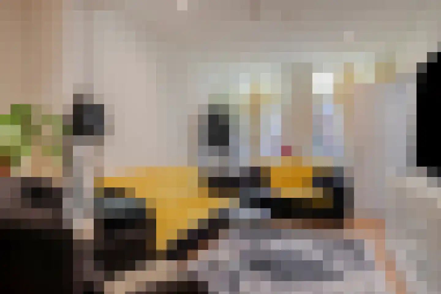 Louisastraat 10 Sluiskil thumbnail 10