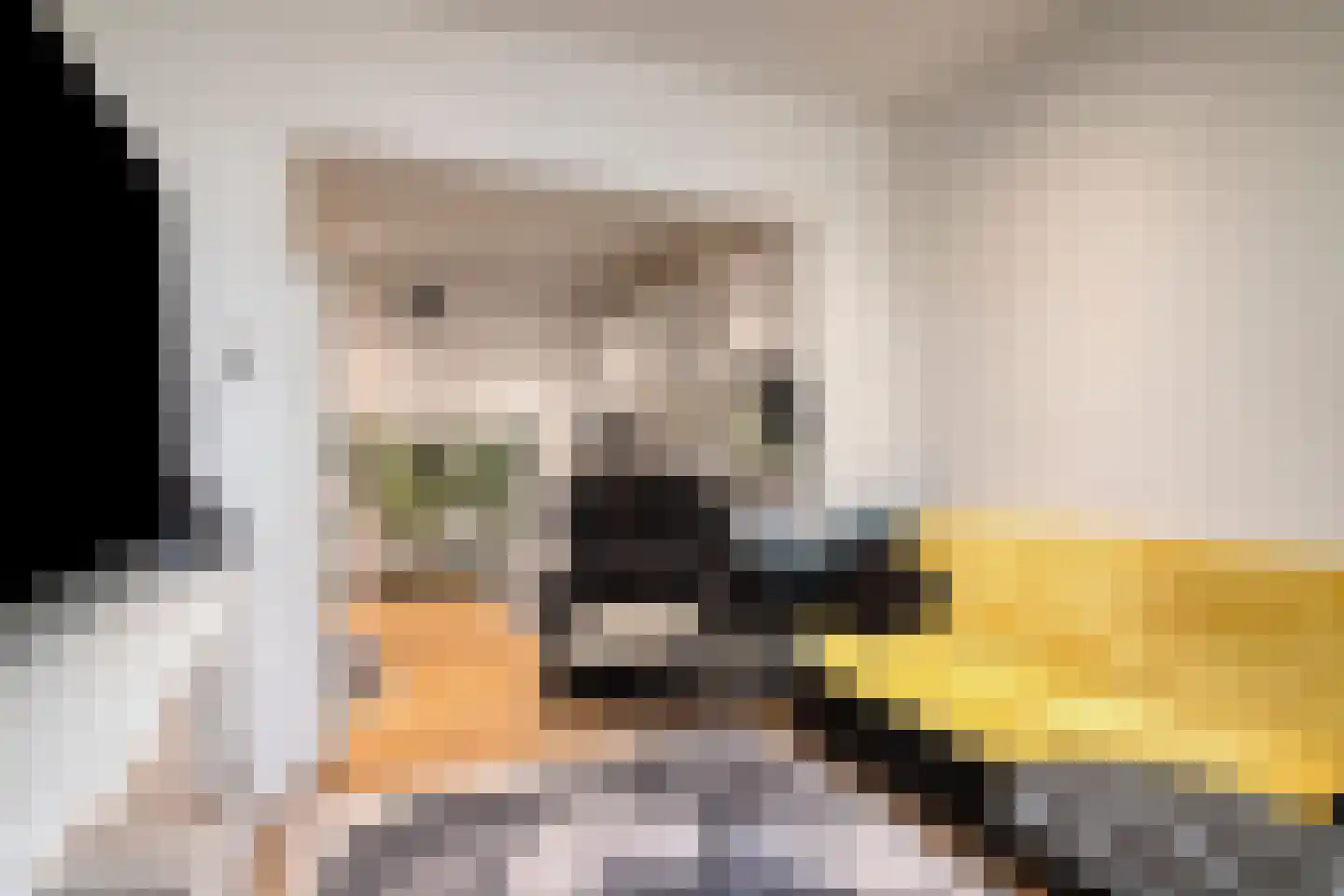 Louisastraat 10 Sluiskil thumbnail 11