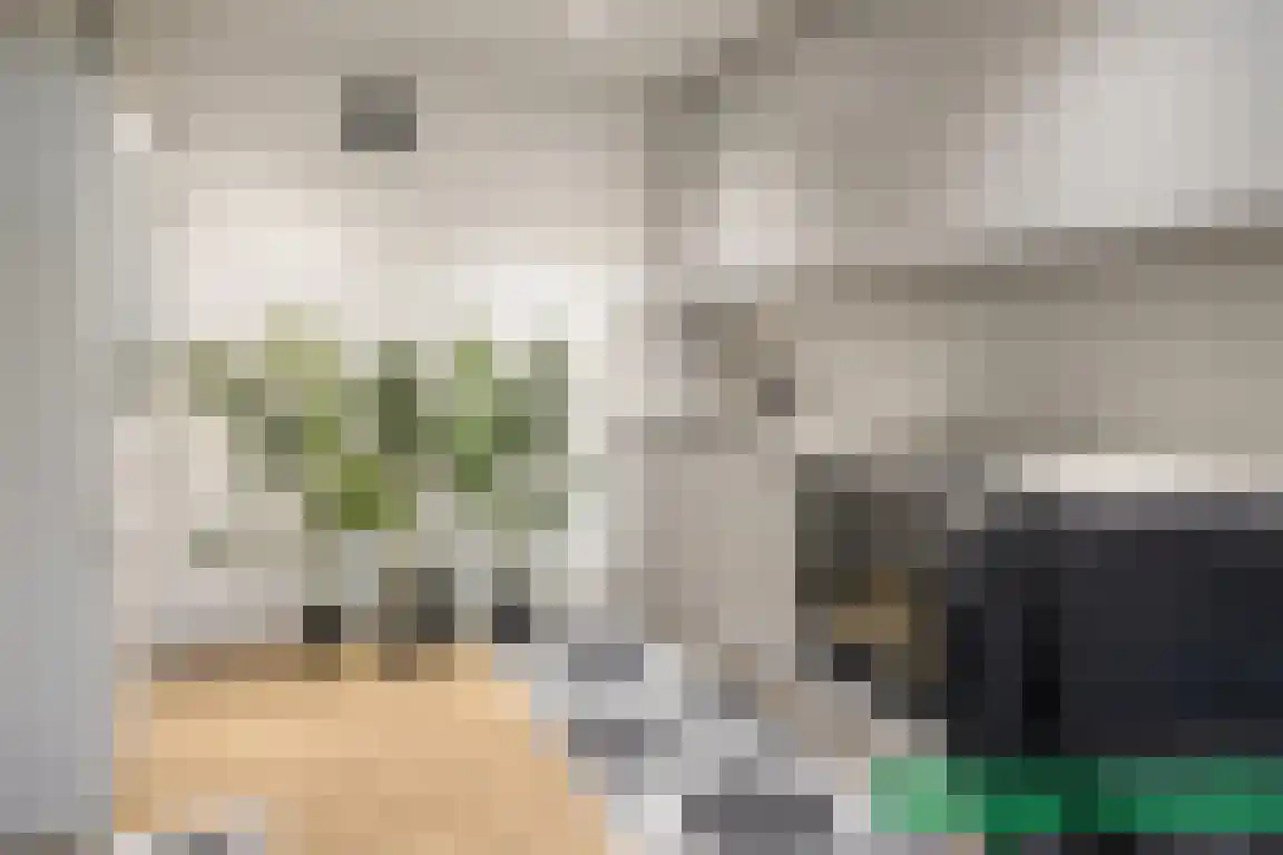 Louisastraat 10 Sluiskil thumbnail 13