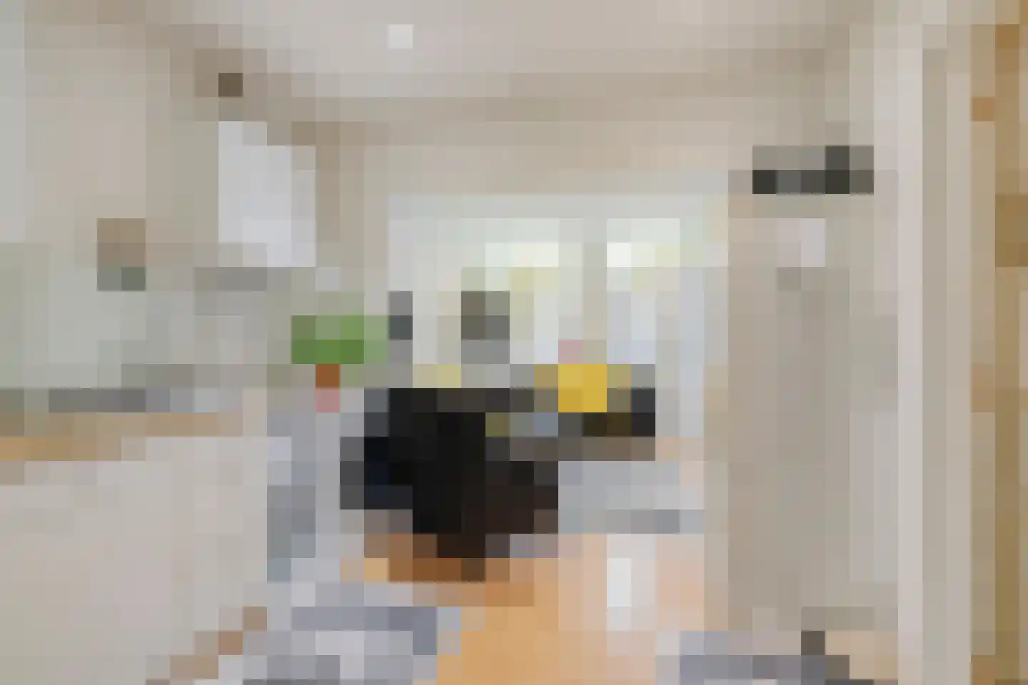 Louisastraat 10 Sluiskil thumbnail 14