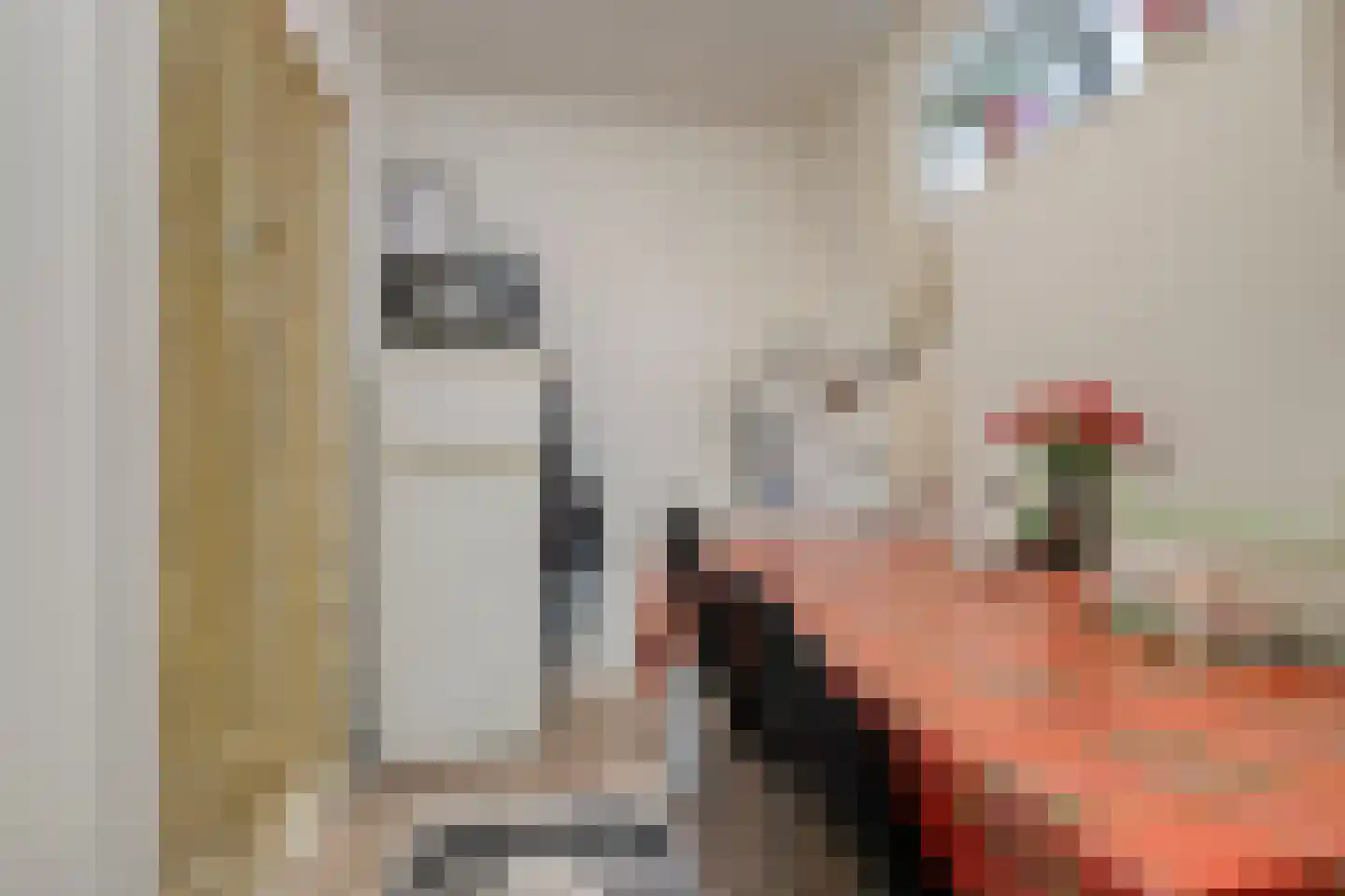 Louisastraat 10 Sluiskil thumbnail 15