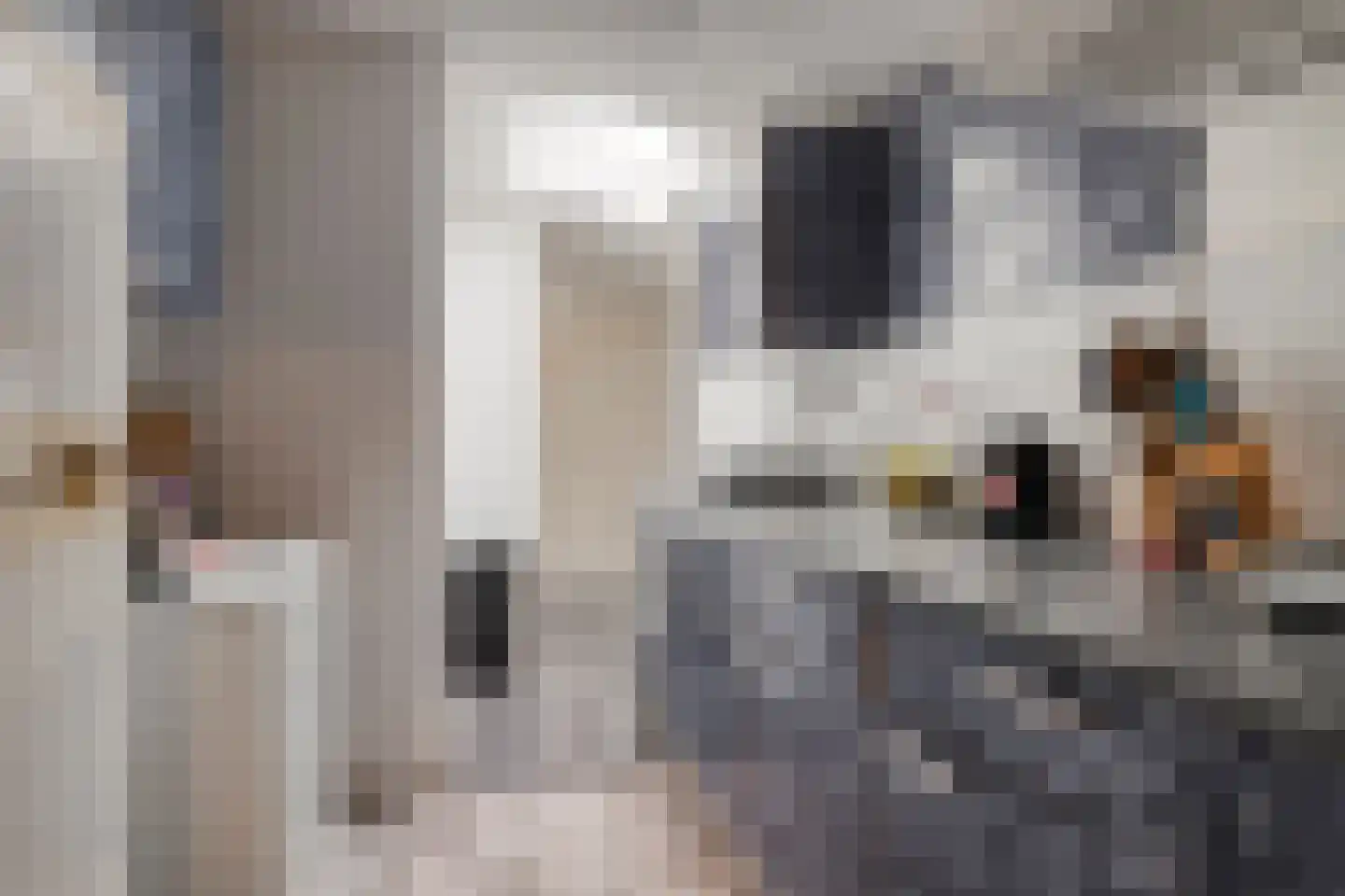 Louisastraat 10 Sluiskil thumbnail 16