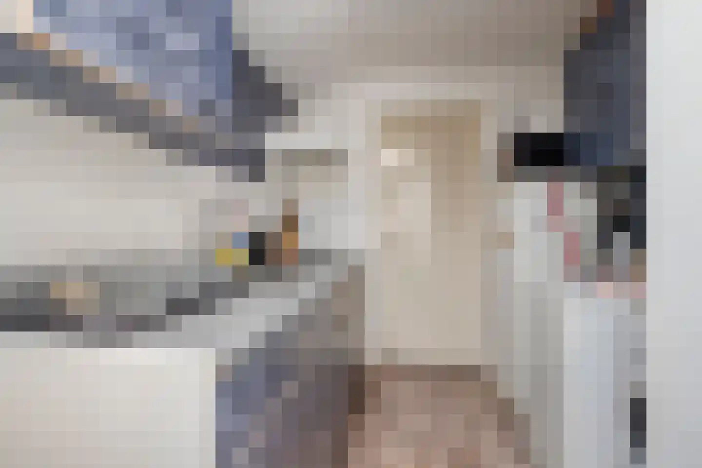 Louisastraat 10 Sluiskil thumbnail 17
