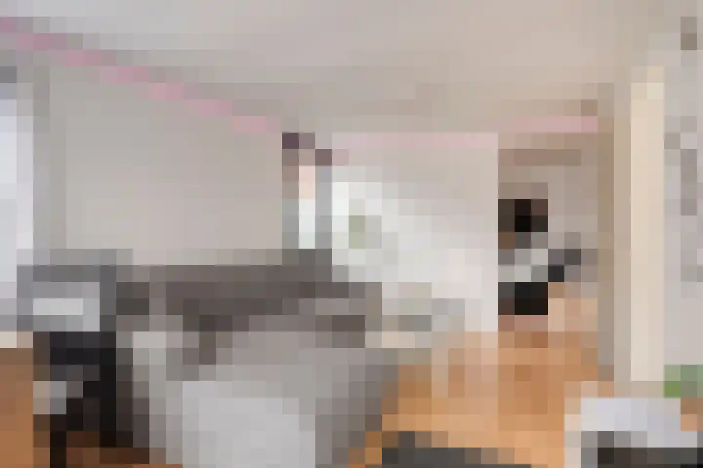 Louisastraat 10 Sluiskil thumbnail 18