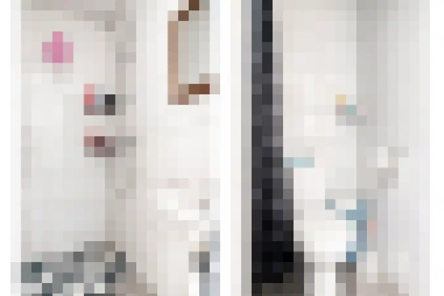 Louisastraat 10 Sluiskil thumbnail 22