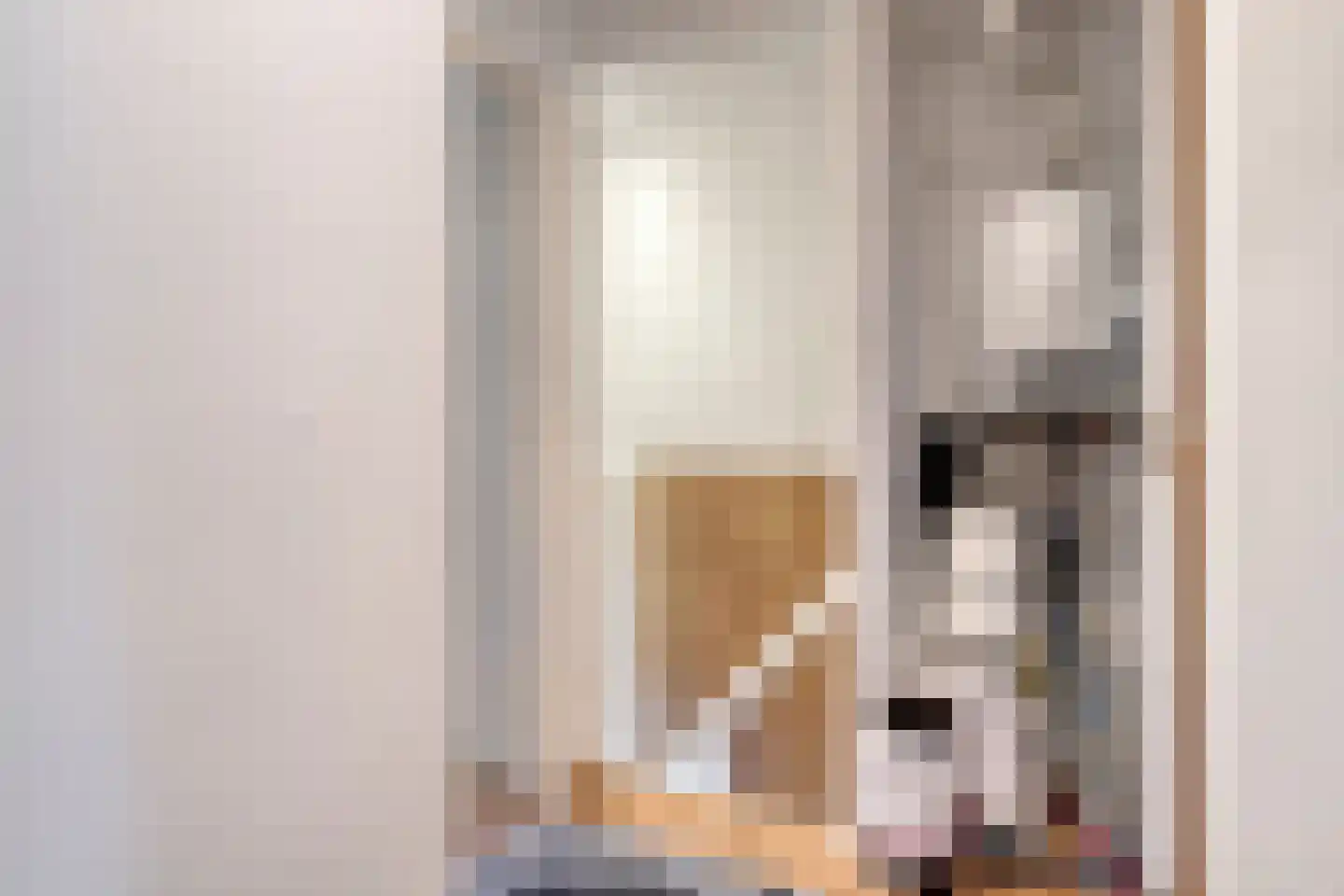 Louisastraat 10 Sluiskil thumbnail 23