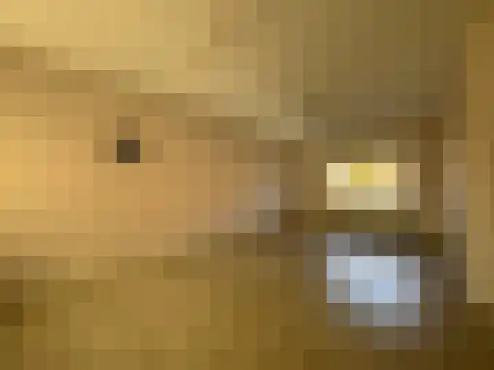 Louisastraat 23 Sluiskil thumbnail 15