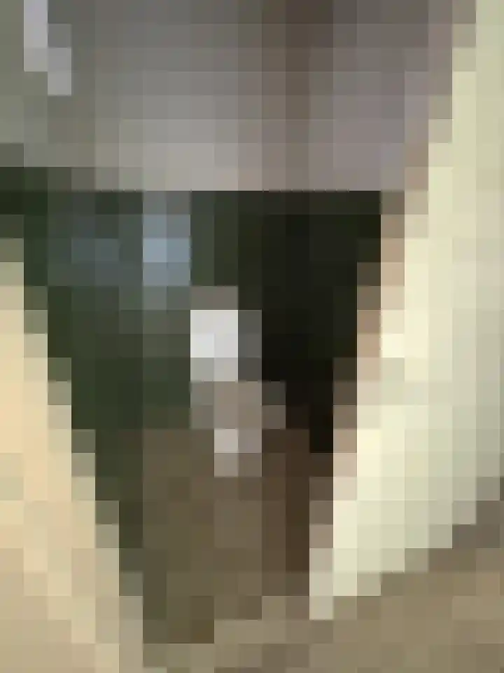 Louisastraat 23 Sluiskil thumbnail 22