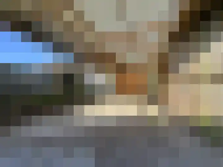 Louisastraat 23 Sluiskil thumbnail 24