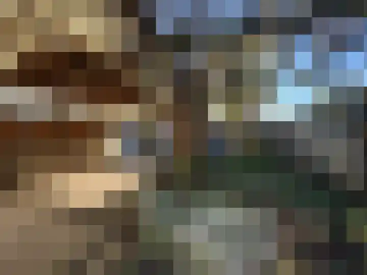 Louisastraat 23 Sluiskil thumbnail 25