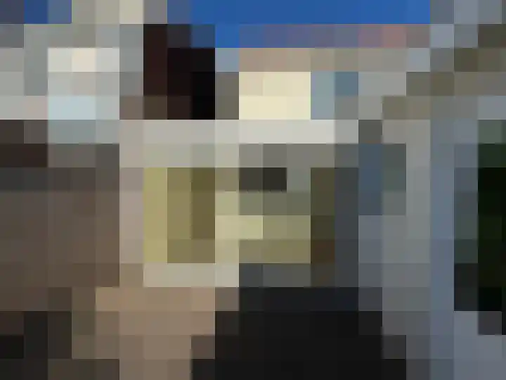 Louisastraat 23 Sluiskil thumbnail 26