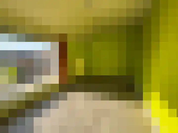 Louisastraat 23 Sluiskil thumbnail 28