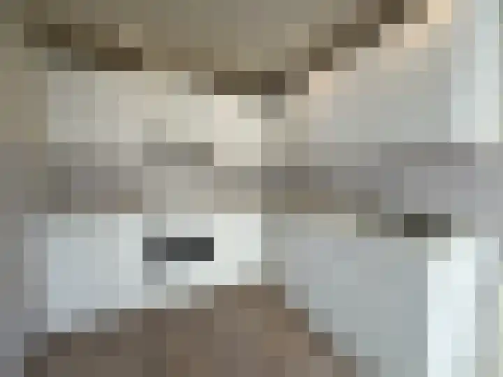 Louisastraat 23 Sluiskil thumbnail 5