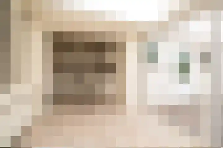 Louisastraat 23 Sluiskil thumbnail 8