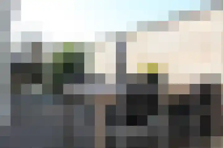Louisastraat 23 Sluiskil thumbnail 9