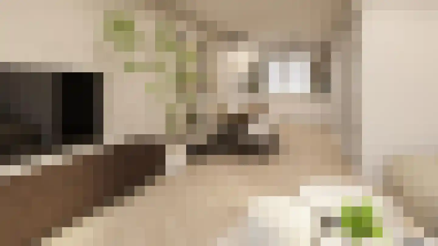 Louisastraat 37 Sluiskil thumbnail 8