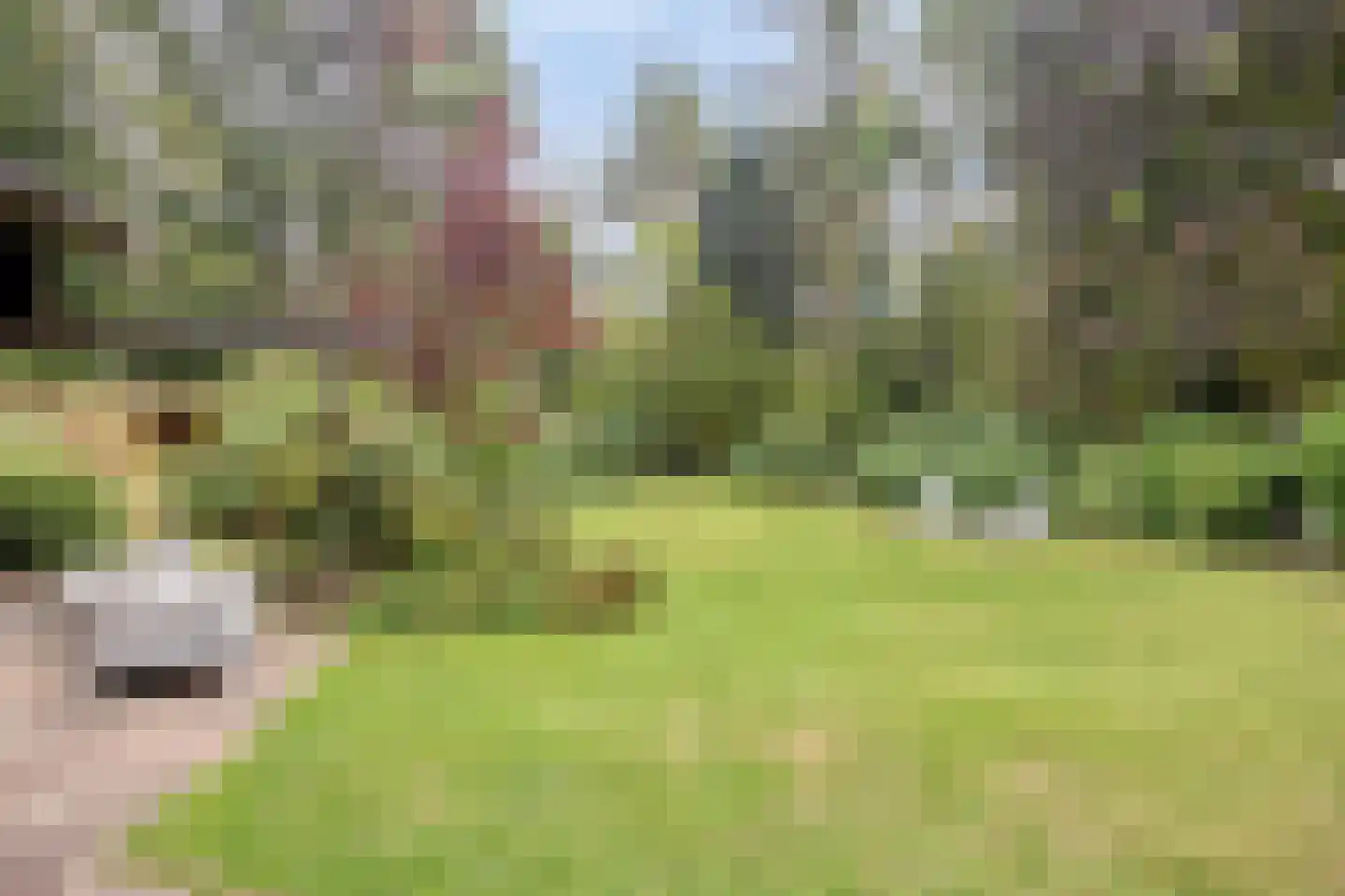 Louise de Colignylaan 10 Eerbeek thumbnail 35