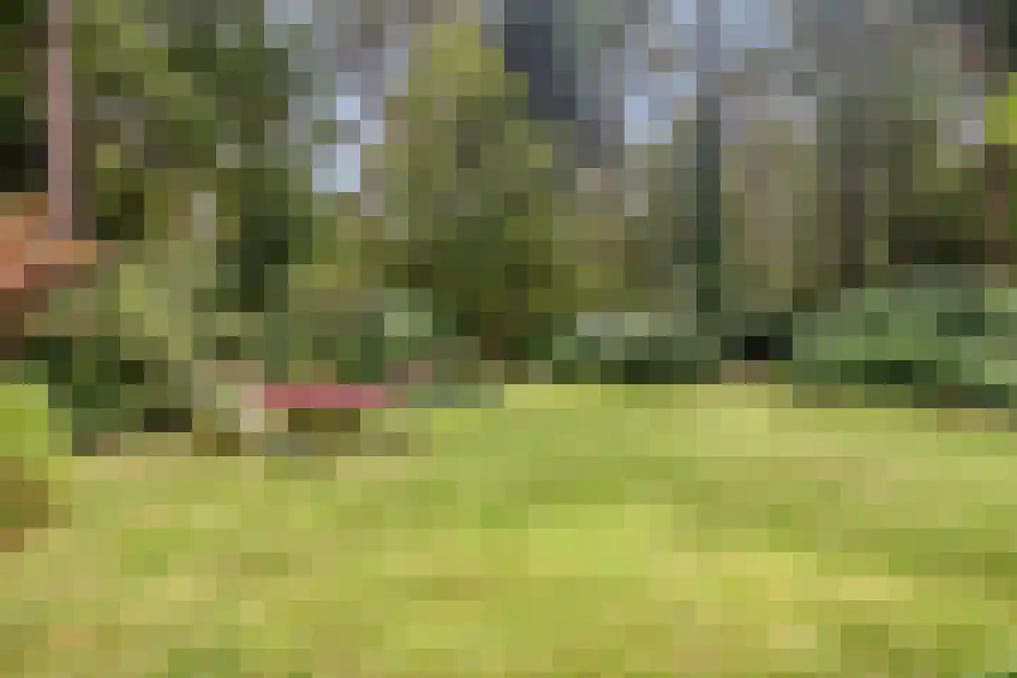 Louise de Colignylaan 10 Eerbeek thumbnail 36