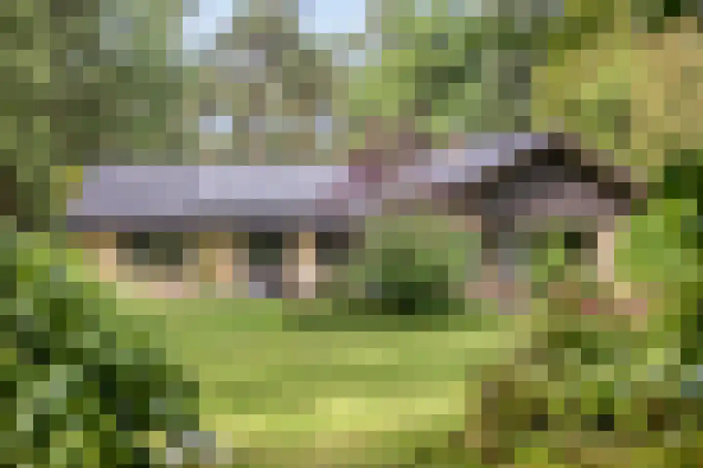 Louise de Colignylaan 10 Eerbeek thumbnail 38