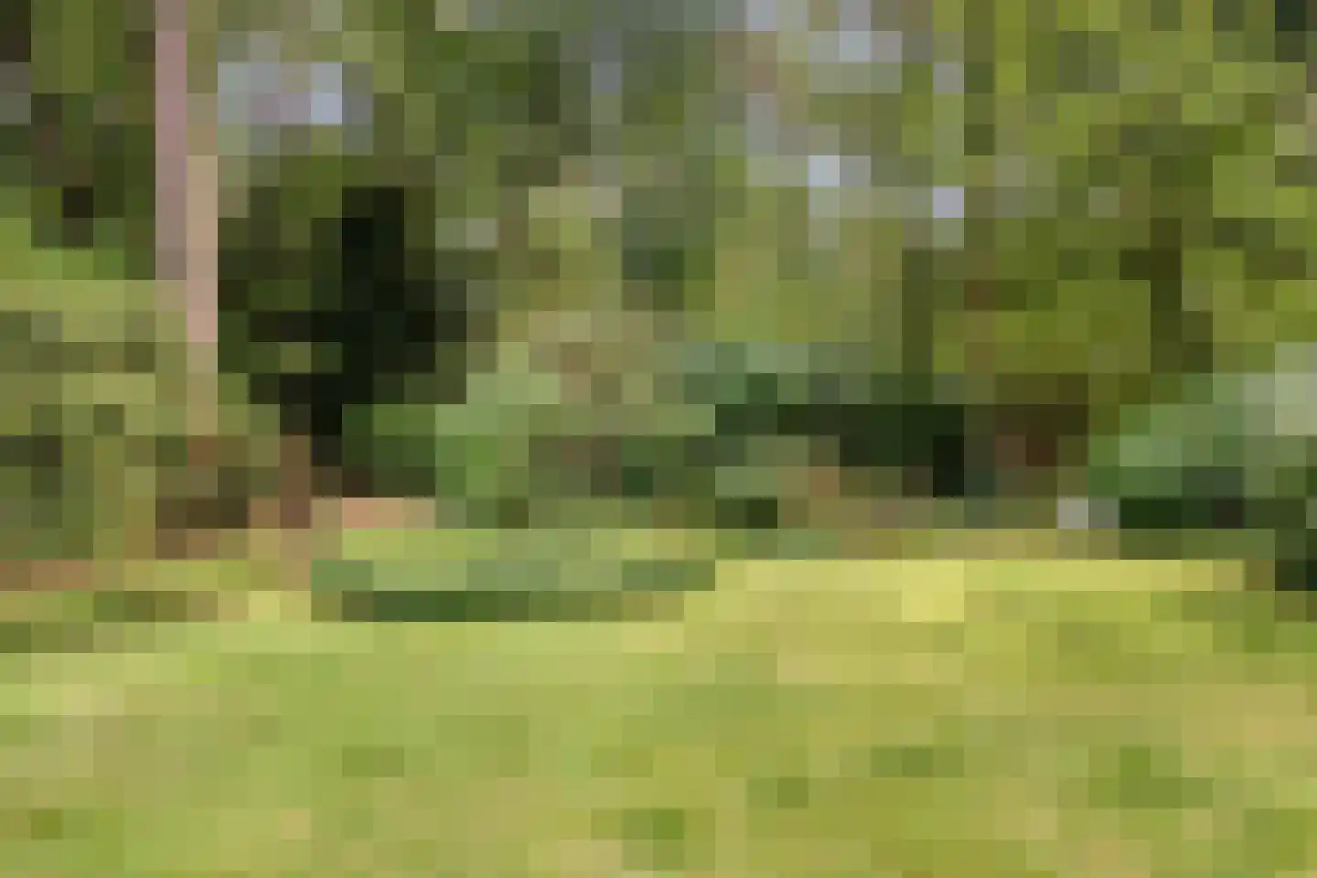 Louise de Colignylaan 10 Eerbeek thumbnail 39