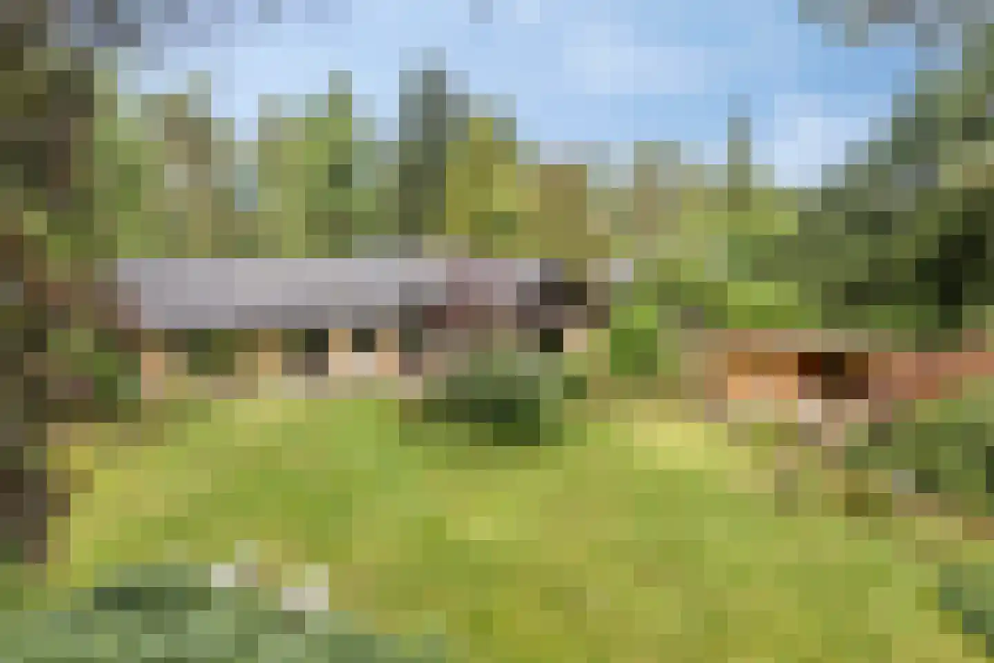 Louise de Colignylaan 10 Eerbeek thumbnail 4