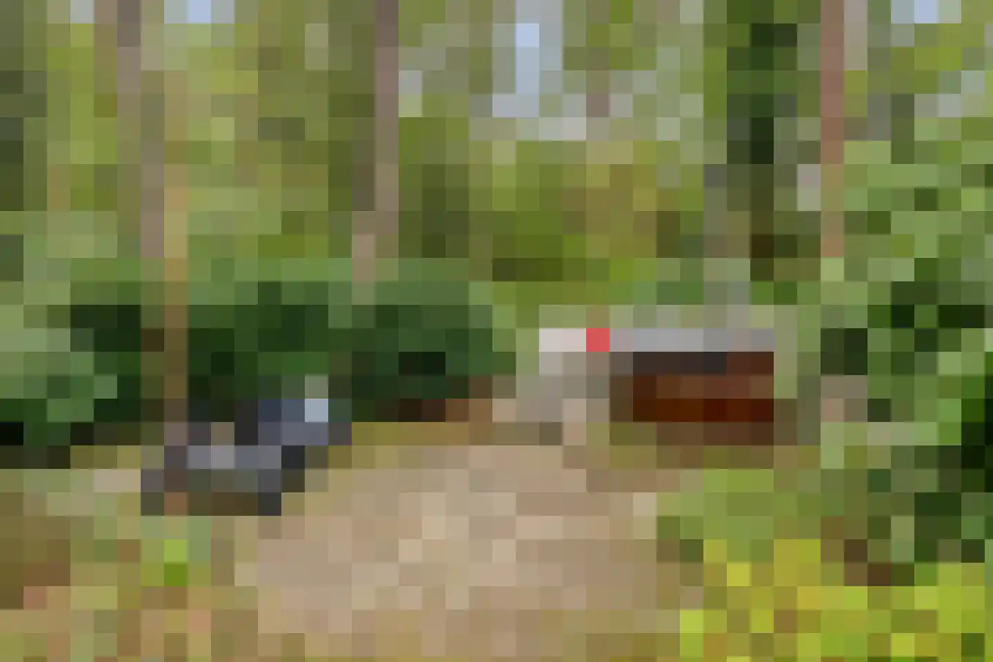 Louise de Colignylaan 10 Eerbeek thumbnail 43