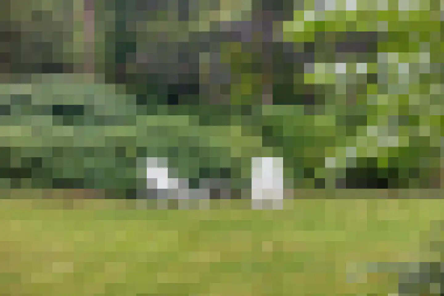 Louise de Colignylaan 10 Eerbeek thumbnail 44