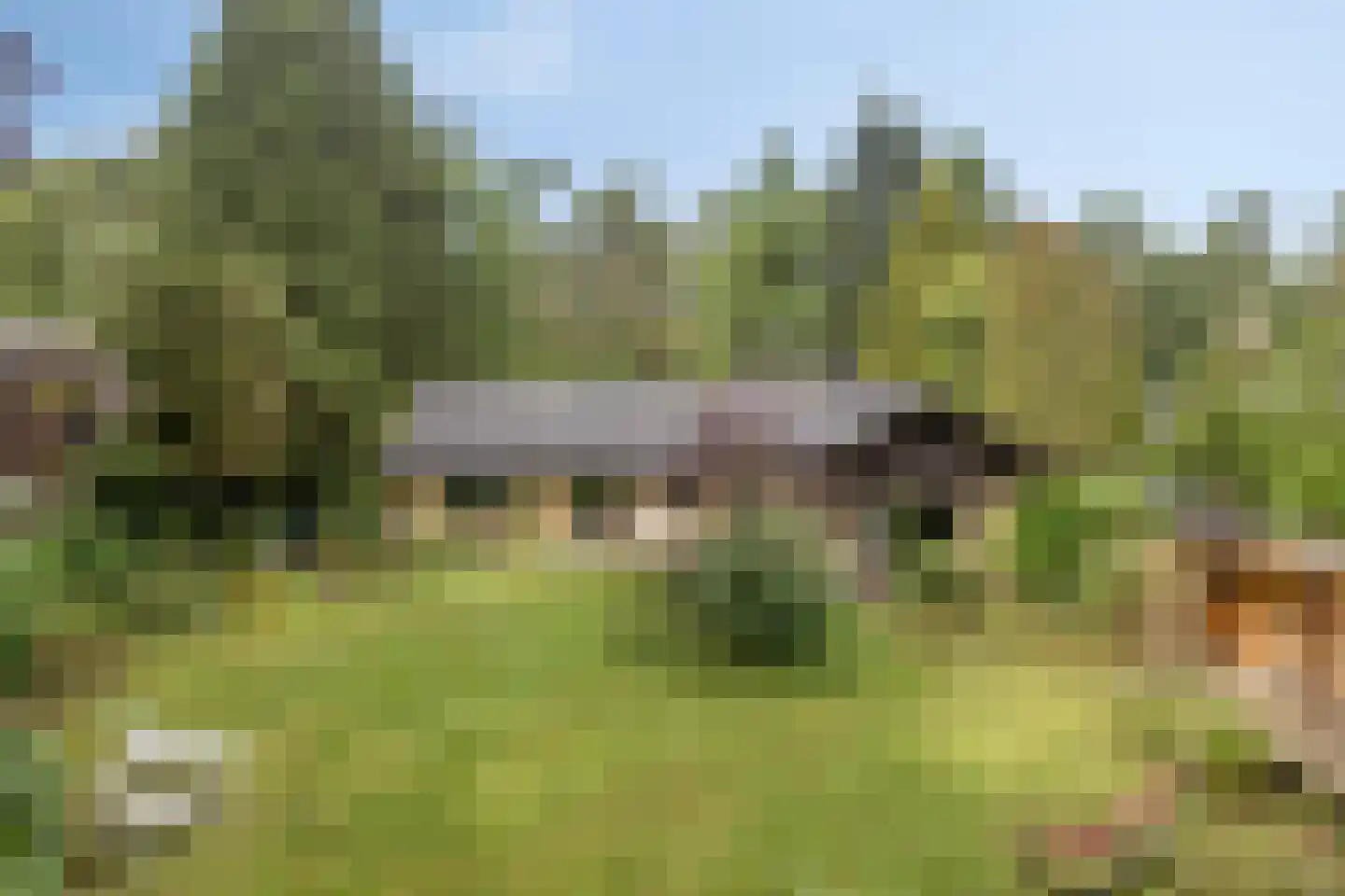 Louise de Colignylaan 10 Eerbeek thumbnail 46