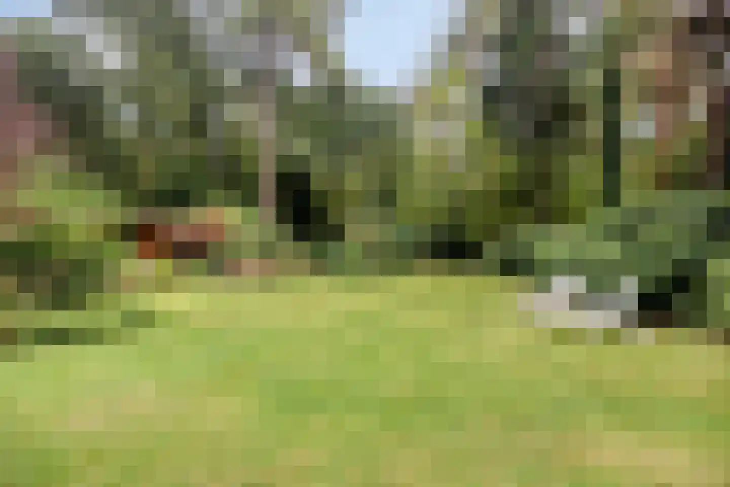 Louise de Colignylaan 10 Eerbeek thumbnail 5